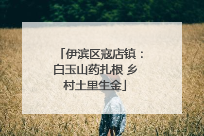 伊滨区寇店镇：白玉山药扎根 乡村土里生金