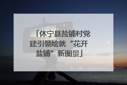 休宁县盐铺村党建引领绘就“花开盐铺”新图景