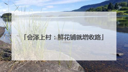 会泽上村：鲜花铺就增收路