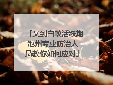 又到白蚁活跃期 池州专业防治人员教你如何应对