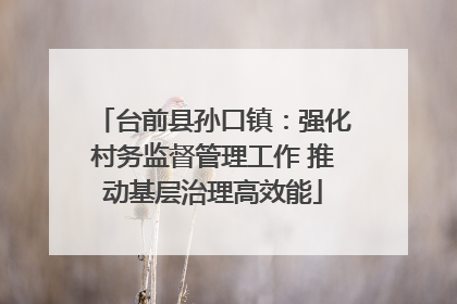 台前县孙口镇：强化村务监督管理工作 推动基层治理高效能