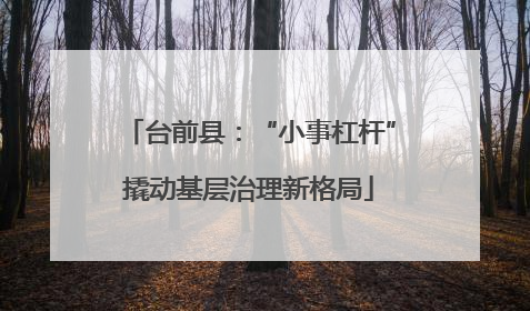 台前县：“小事杠杆”撬动基层治理新格局