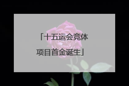 十五运会竞体项目首金诞生