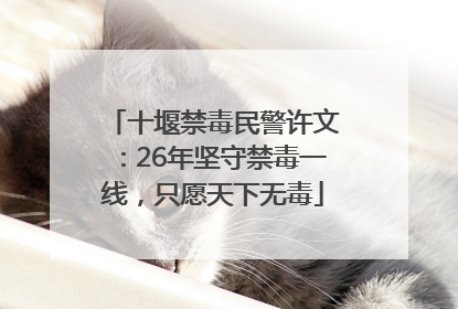 十堰禁毒民警许文：26年坚守禁毒一线，只愿天下无毒