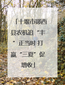 十堰市郧西县农机追“丰”正当时 打赢“三夏”促增收