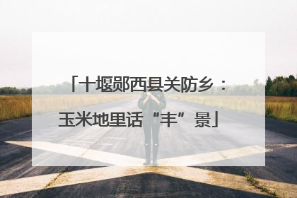 十堰郧西县关防乡：玉米地里话“丰”景