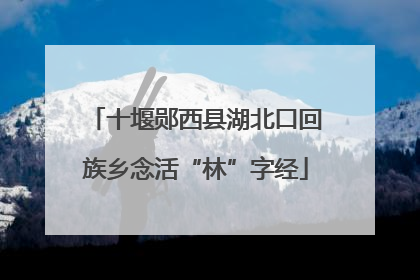 十堰郧西县湖北口回族乡念活“林”字经