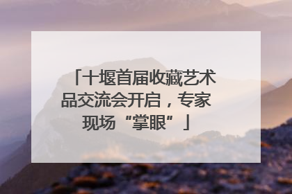 十堰首届收藏艺术品交流会开启，专家现场“掌眼”