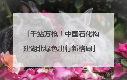 千站万枪！中国石化构建湖北绿色出行新格局