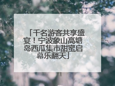 千名游客共享盛宴！宁波象山高塘岛西瓜集市甜蜜启幕乐翻天