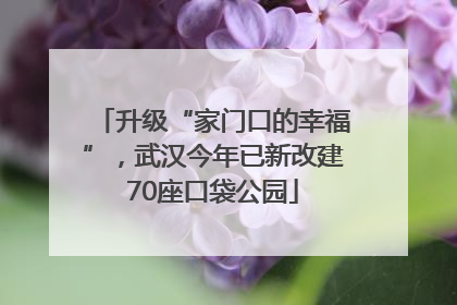 升级“家门口的幸福”，武汉今年已新改建70座口袋公园