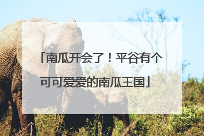 南瓜开会了！平谷有个可可爱爱的南瓜王国