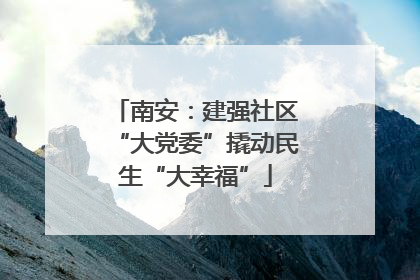 南安：建强社区“大党委”撬动民生“大幸福”