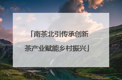 南茶北引传承创新 茶产业赋能乡村振兴