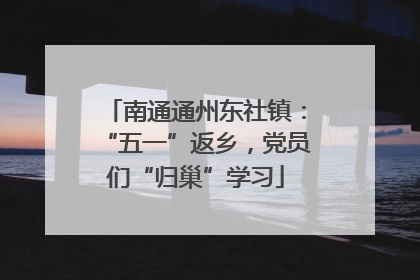 南通通州东社镇：“五一”返乡，党员们“归巢”学习