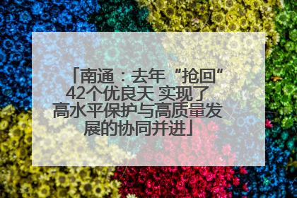 南通：去年“抢回”42个优良天 实现了高水平保护与高质量发展的协同并进