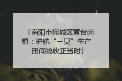 南阳市宛城区黄台岗镇：护航“三夏”生产 田间抢收正当时