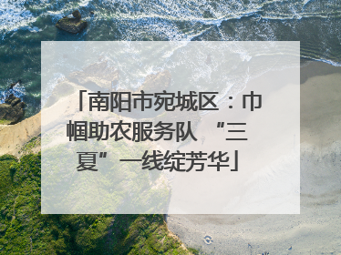 南阳市宛城区：巾帼助农服务队 “三夏”一线绽芳华