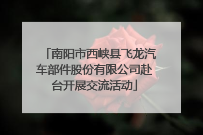 南阳市西峡县飞龙汽车部件股份有限公司赴台开展交流活动