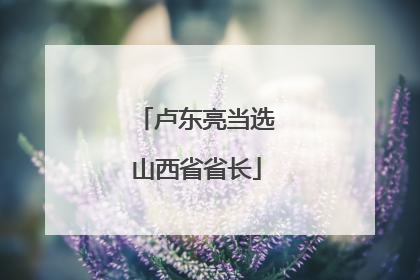 卢东亮当选山西省省长