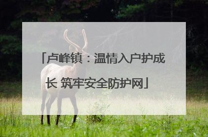 卢峰镇：温情入户护成长 筑牢安全防护网