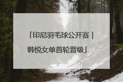 印尼羽毛球公开赛｜韩悦女单首轮晋级