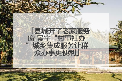 县城开了老家服务窗 景宁“村事社办”城乡集成服务让群众办事更便利