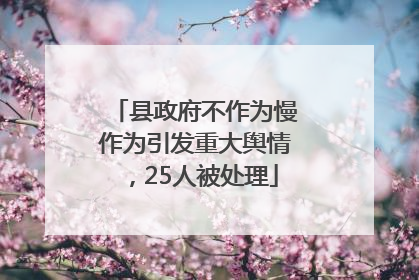 县政府不作为慢作为引发重大舆情，25人被处理