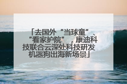 去国外“当球童”、“看家护院”，康迪科技联合云深处科技研发机器狗出海新场景