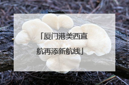 厦门港美西直航再添新航线