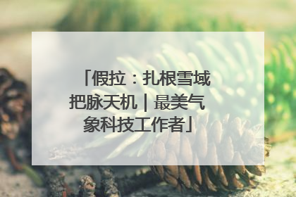假拉：扎根雪域把脉天机｜最美气象科技工作者