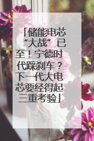 储能电芯“大战”已至！宁德时代踩刹车？下一代大电芯要经得起三重考验