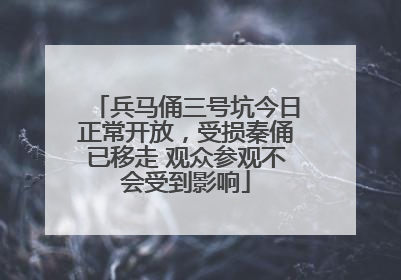 兵马俑三号坑今日正常开放，受损秦俑已移走 观众参观不会受到影响