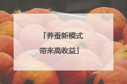养蚕新模式带来高收益