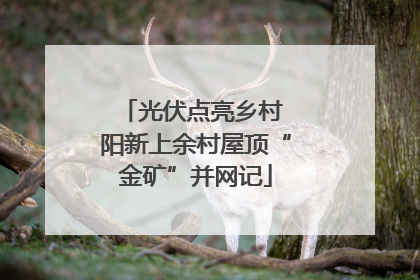 光伏点亮乡村 阳新上余村屋顶“金矿”并网记