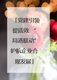 党建引领提质效 “局港联动”护航企业合规发展