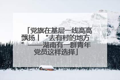 党旗在基层一线高高飘扬丨“去有村的地方”——湖南有一群青年党员这样选择