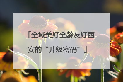 全域美好全龄友好西安的“升级密码”