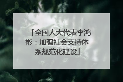 全国人大代表李鸿彬：加强社会支持体系规范化建设