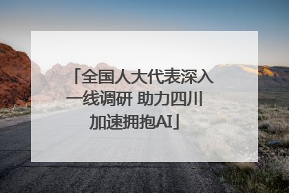全国人大代表深入一线调研 助力四川加速拥抱AI
