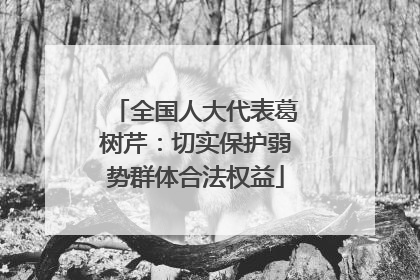 全国人大代表葛树芹：切实保护弱势群体合法权益