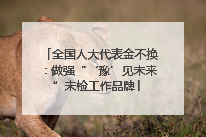 全国人大代表金不换：做强“‘豫’见未来”未检工作品牌