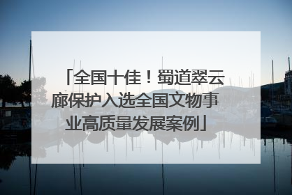 全国十佳！蜀道翠云廊保护入选全国文物事业高质量发展案例