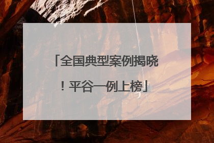 全国典型案例揭晓！平谷一例上榜