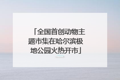 全国首创动物主题市集在哈尔滨极地公园火热开市