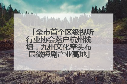 全市首个区级视听行业协会落户杭州钱塘，九州文化牵头布局微短剧产业高地