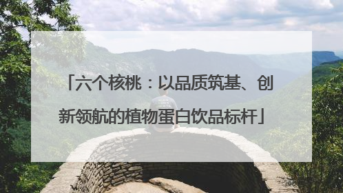 六个核桃：以品质筑基、创新领航的植物蛋白饮品标杆
