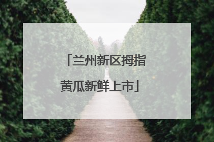 兰州新区拇指黄瓜新鲜上市
