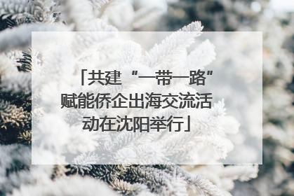 共建“一带一路”赋能侨企出海交流活动在沈阳举行