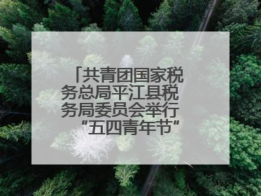 共青团国家税务总局平江县税务局委员会举行“五四青年节”主题团日活动